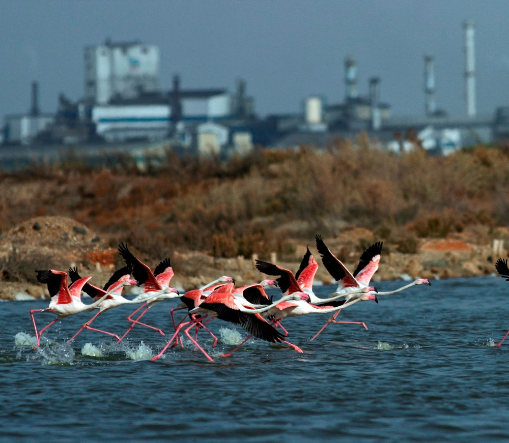 AIQBE de Huelva