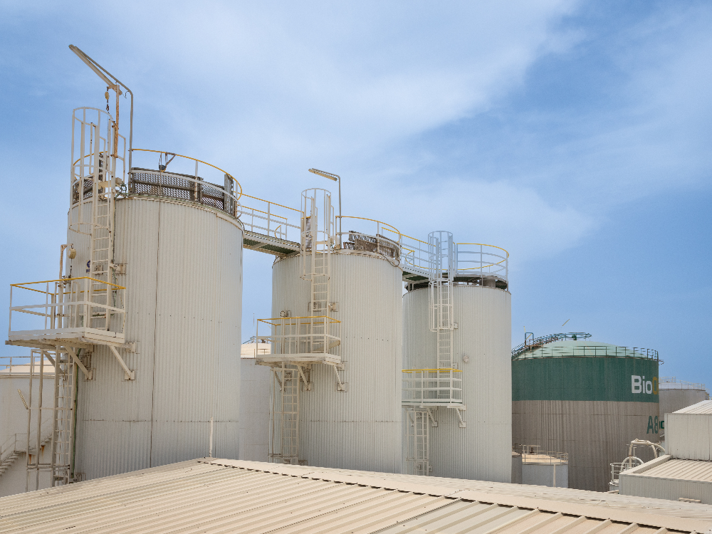 Bio-Oils Huelva