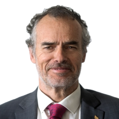 D. Carlos Ortiz Bevia