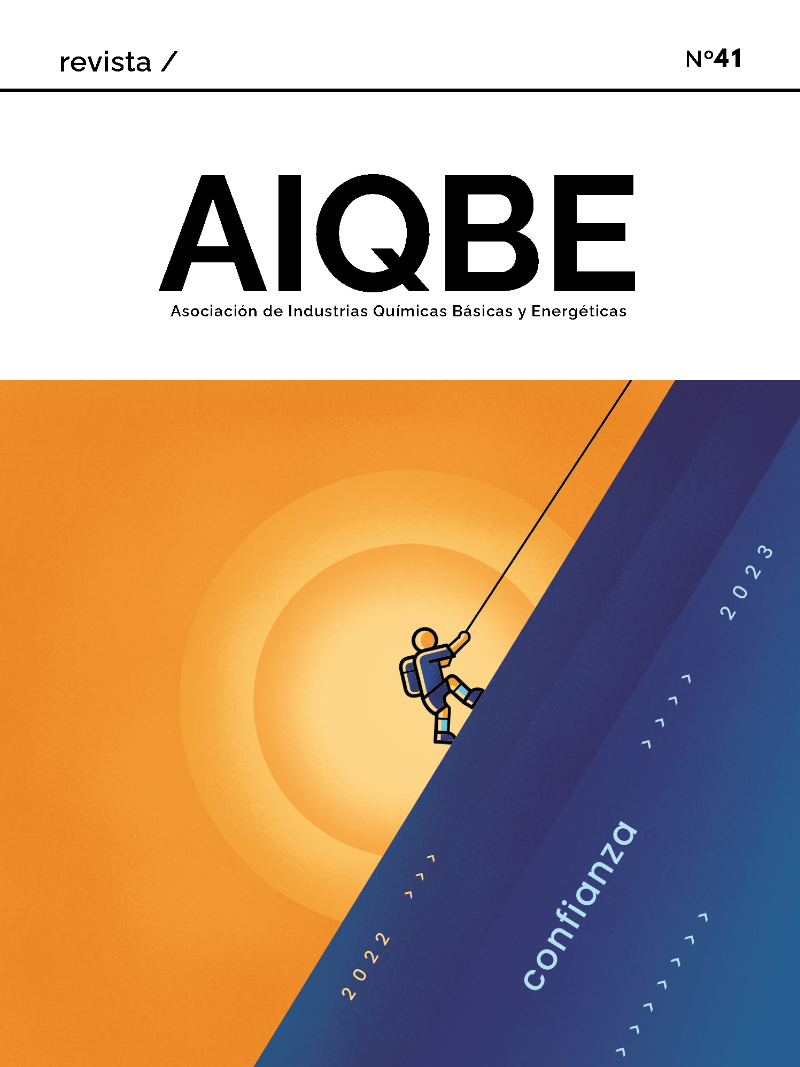 REVISTA AIQBE Nº 41