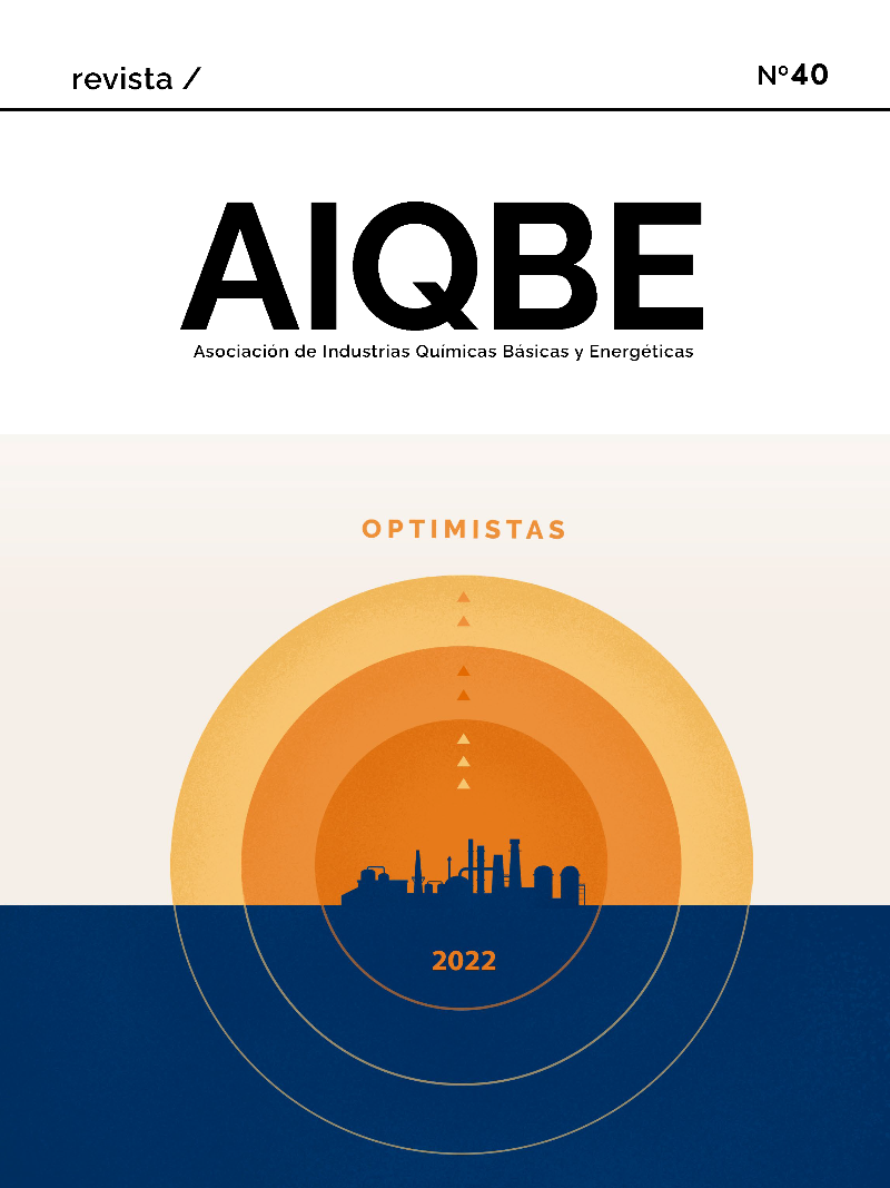 REVISTA AIQBE Nº40